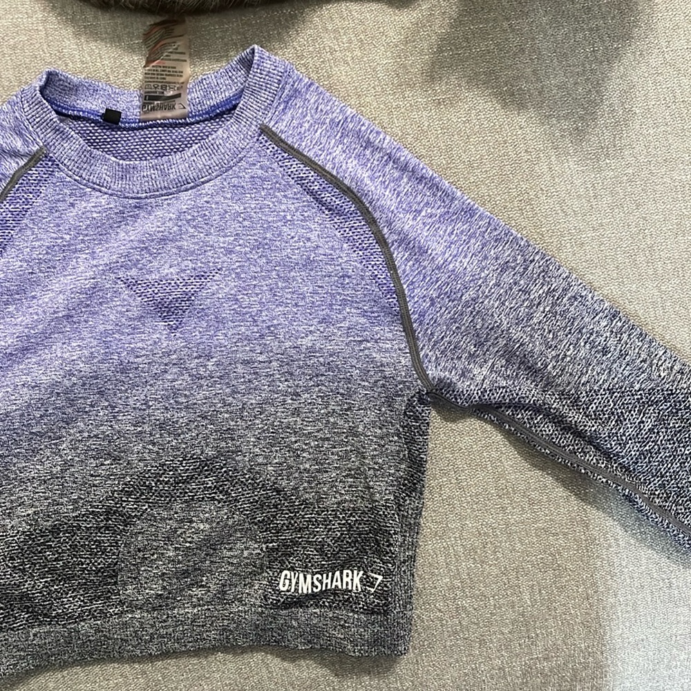 Gymshark Adapt Ombré Seamless Cropped Longsleeve